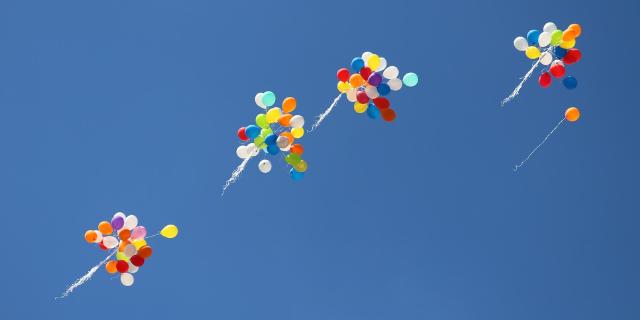 ankush-minda-TLBplYQvqn0-unsplash.jpg